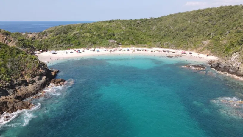 Muelle Mamut